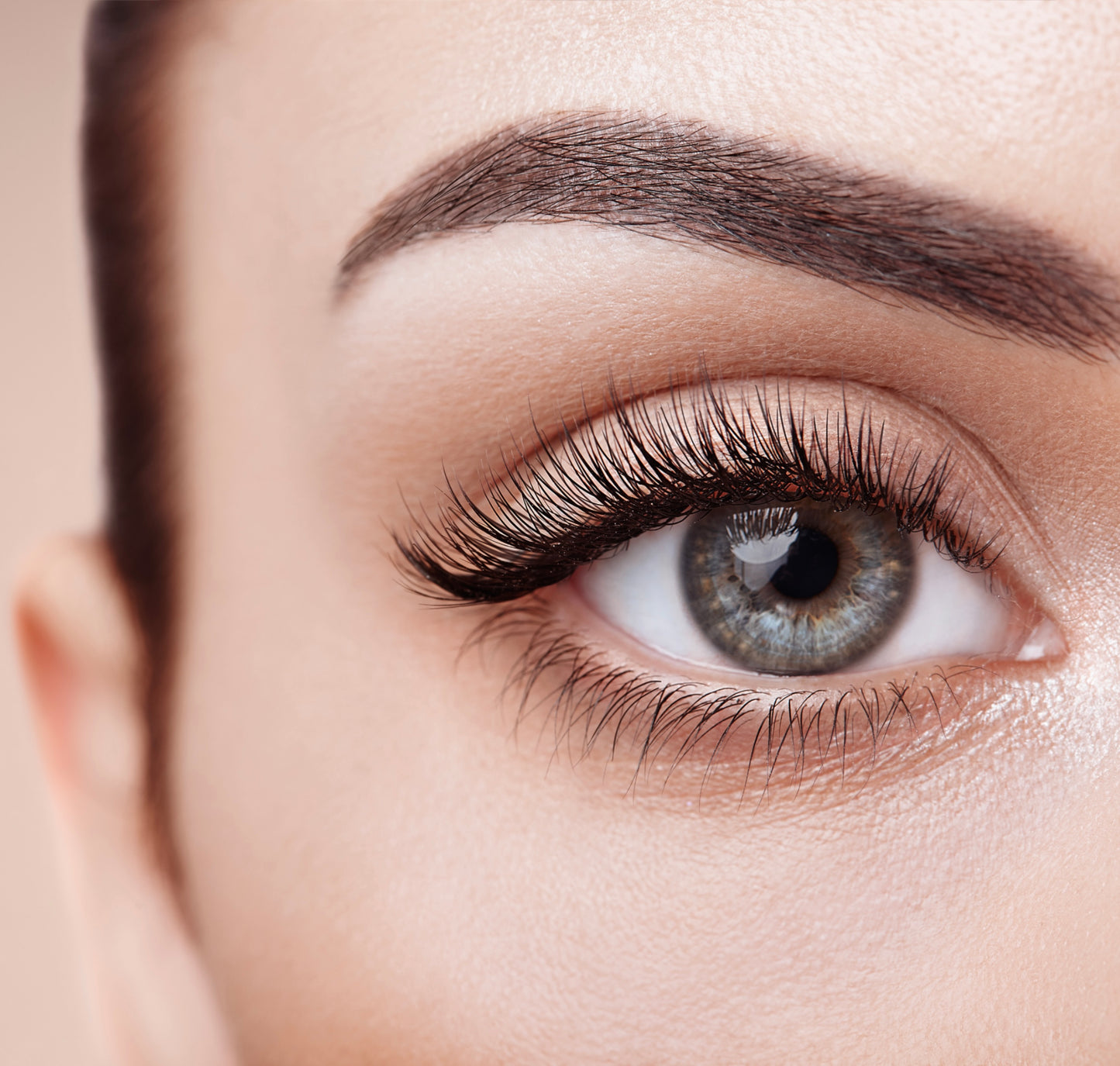 Magnetic eyelashes with applicator